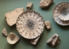 Εικόνα της ΠΙΑΤΕΛΑ ΠΟΡΣ. ΟΡΘΟΓ. HERITAGE 37CM Ν.4573